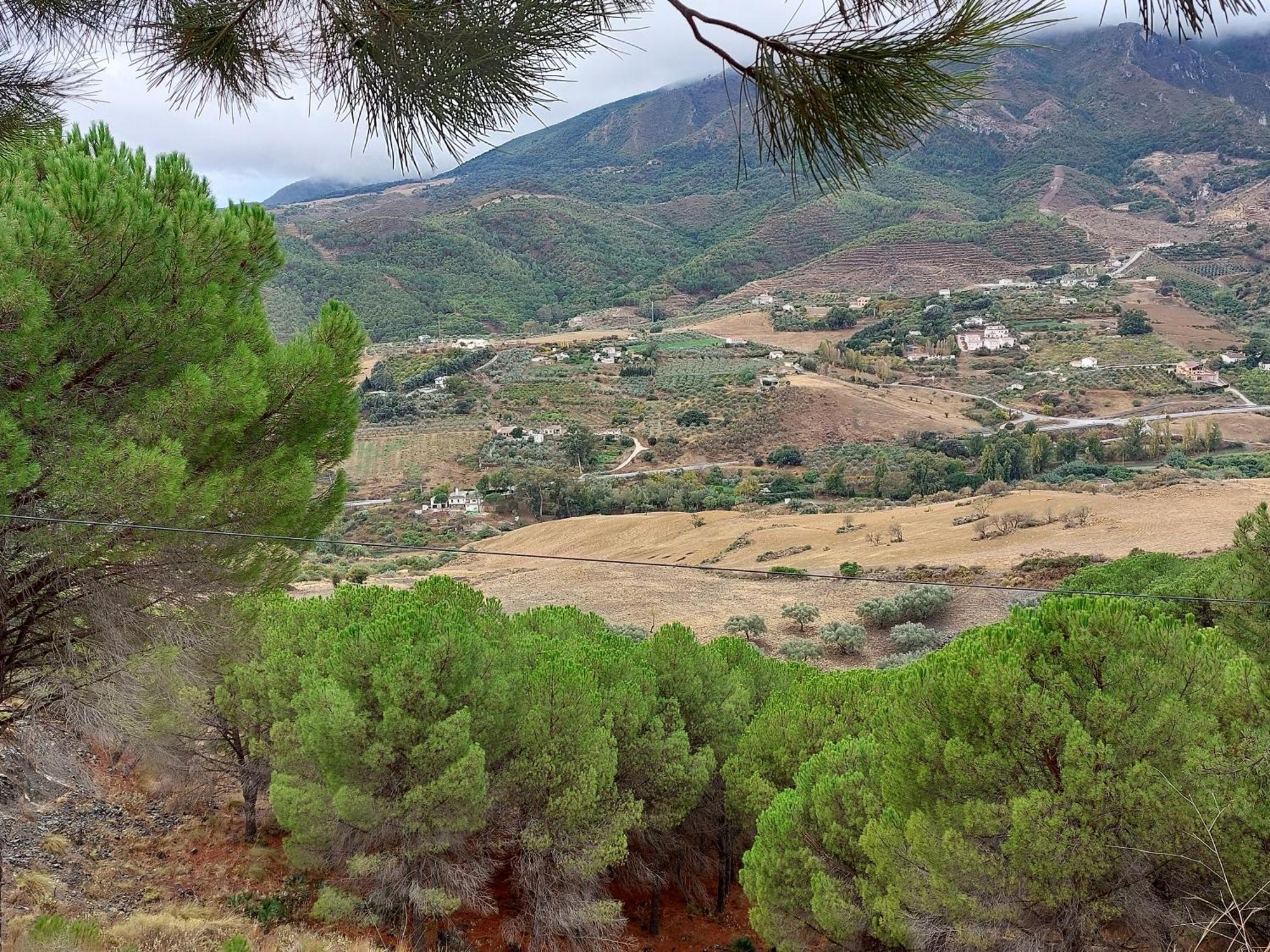 El Bufon De La Corte Carratraca Kültér fotó