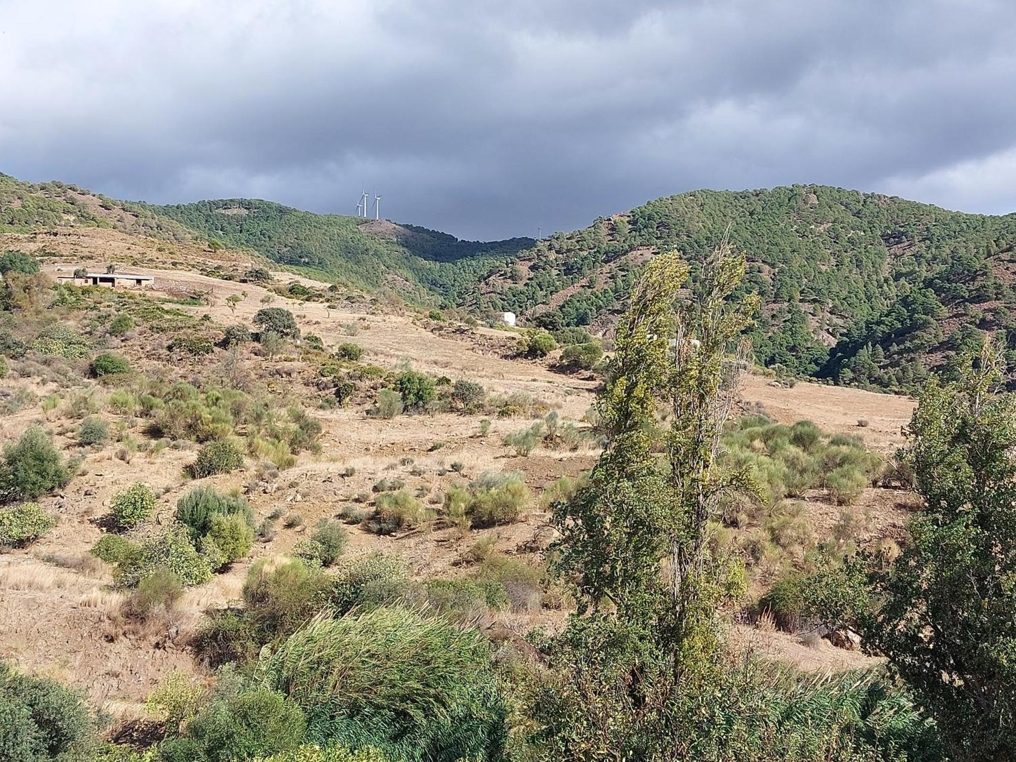 El Bufon De La Corte Carratraca Kültér fotó